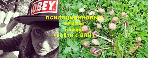 гашишное масло Балахна