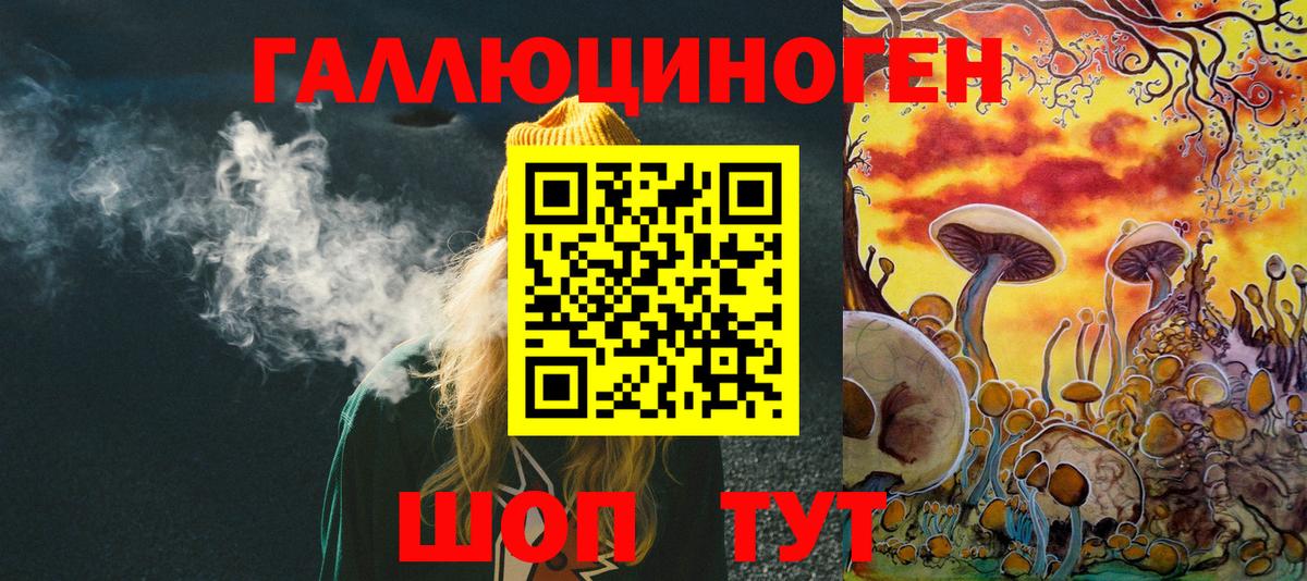 Гусев  Псилоцибиновые грибы мухоморы  Вход с VPN 