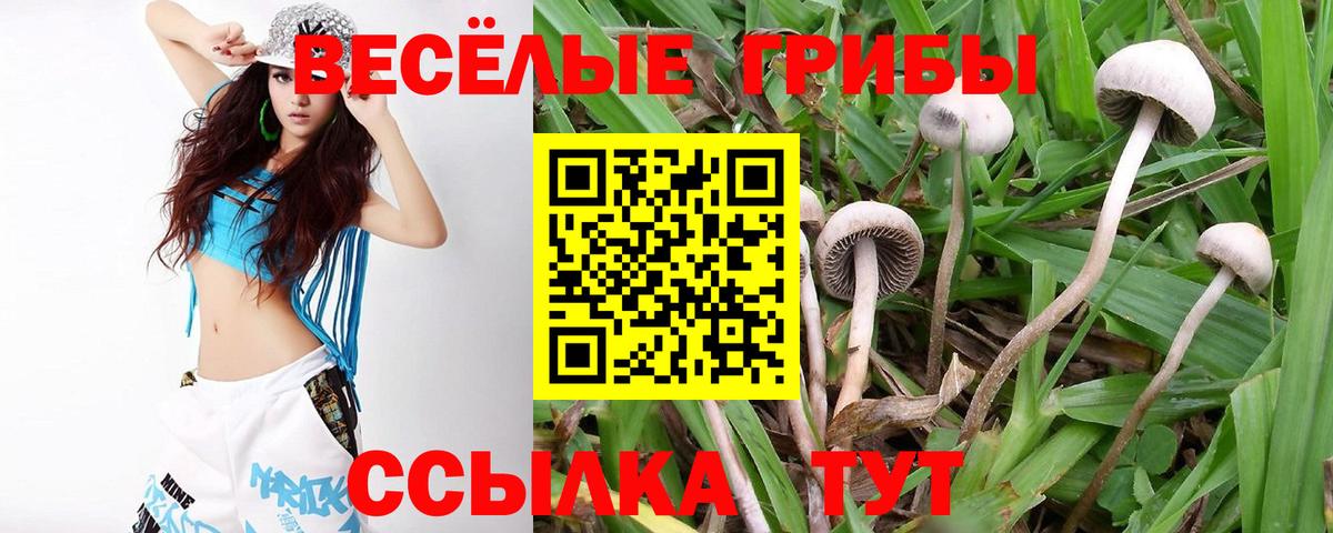 Марихуана  Гусев  Вход с VPN  Кокаин  Мефедрон кристаллы  ГАШИШ  МЕТАМФЕТАМИН  ЭКСТАЗИ 