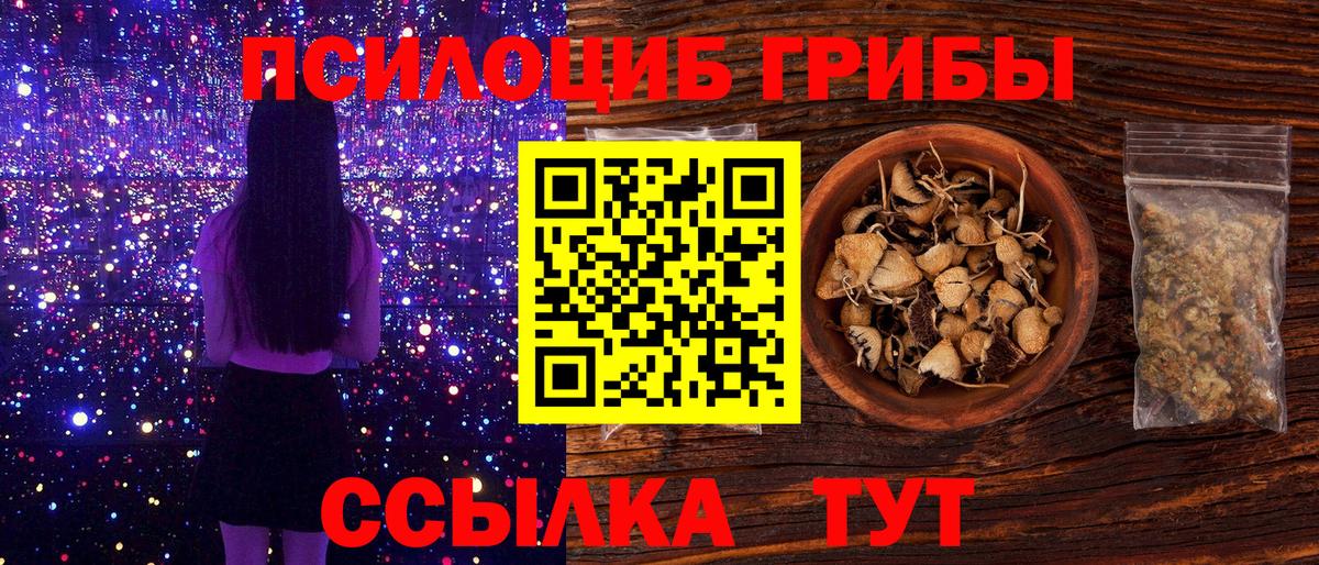 Псилоцибиновые грибы Psilocybine cubensis  Гусев 